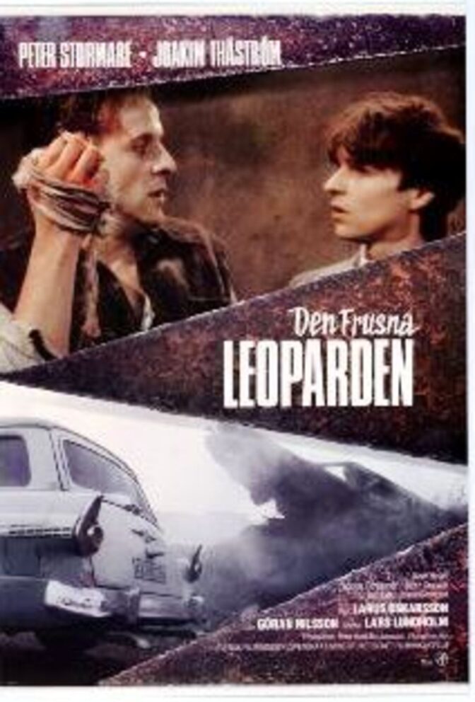 Den frusna leoparden