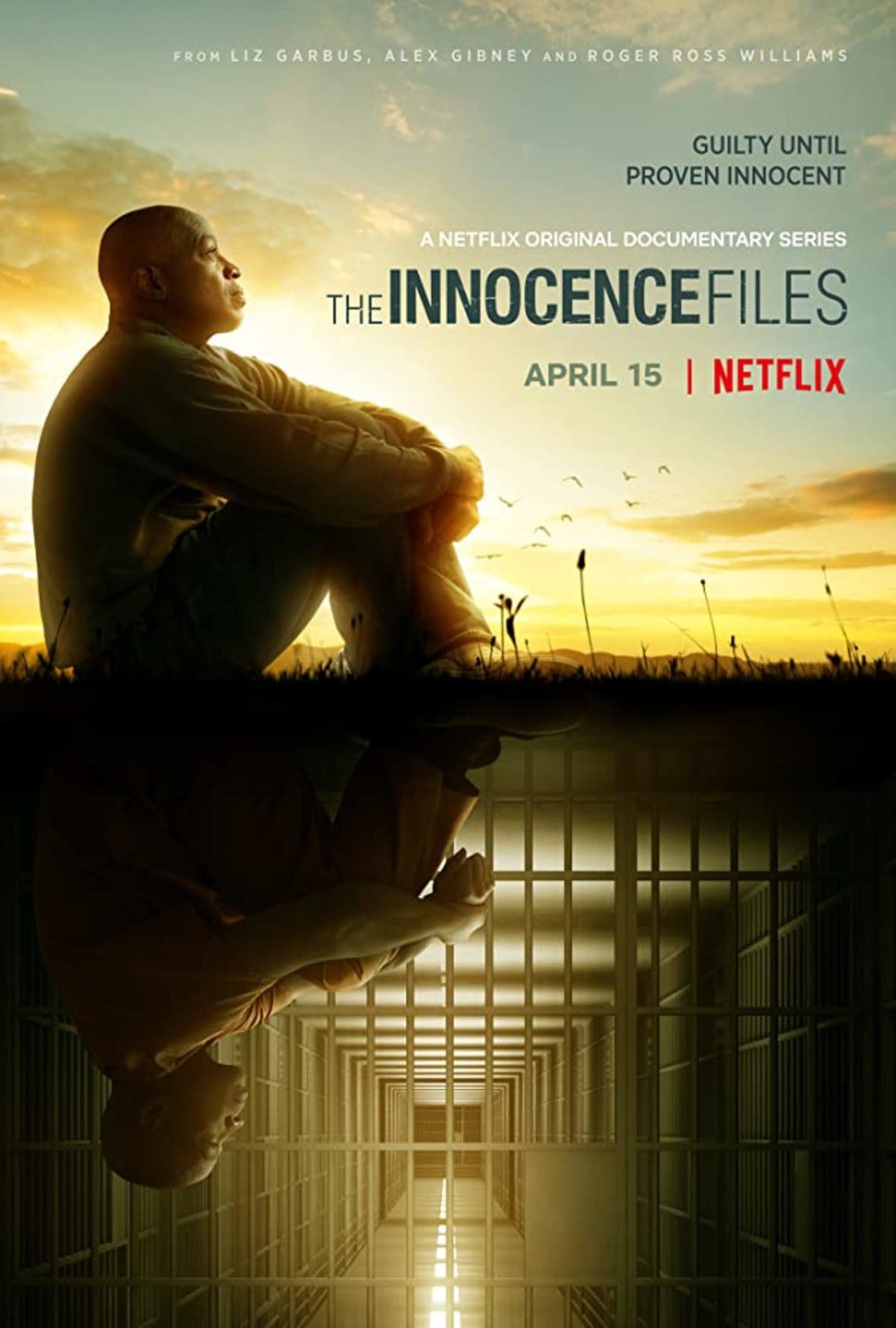 large_6e87727a359060d6d505d9a19acaaacf-innocence_files_poster.jpg