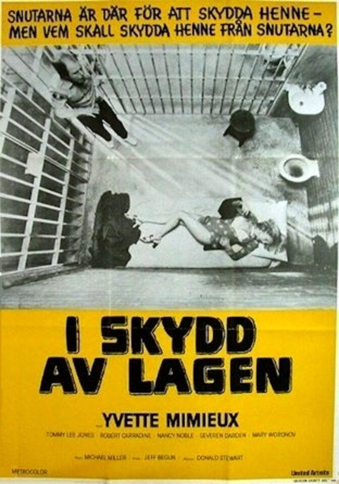 I skydd av lagen