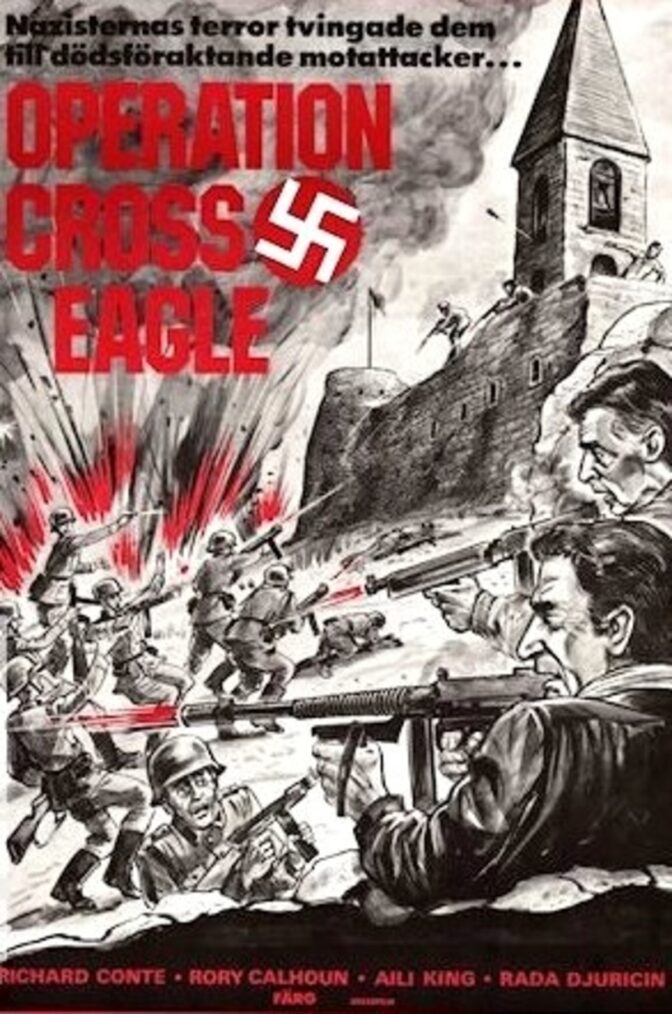 Operation Cross Eagles