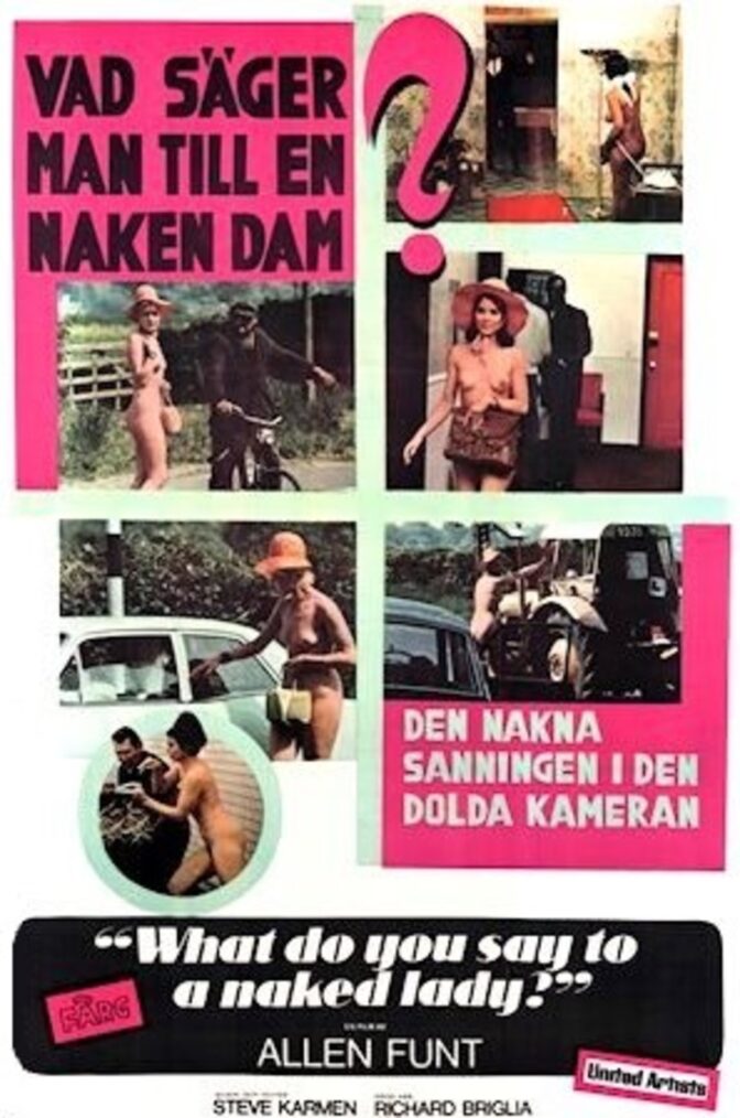 Vad säger man till en naken dam?