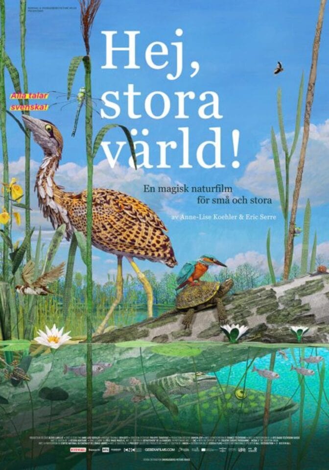 Hej, stora värld!