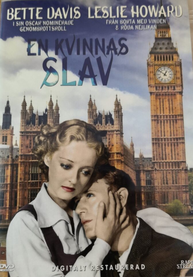 En kvinnas slav
