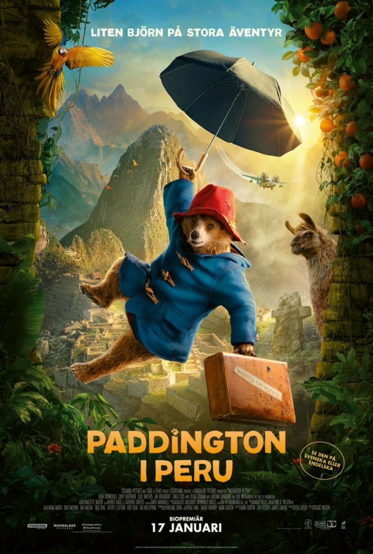 large_7f3cc6c5444880b68ab2414d070b26cf-paddington_20fix.jpg