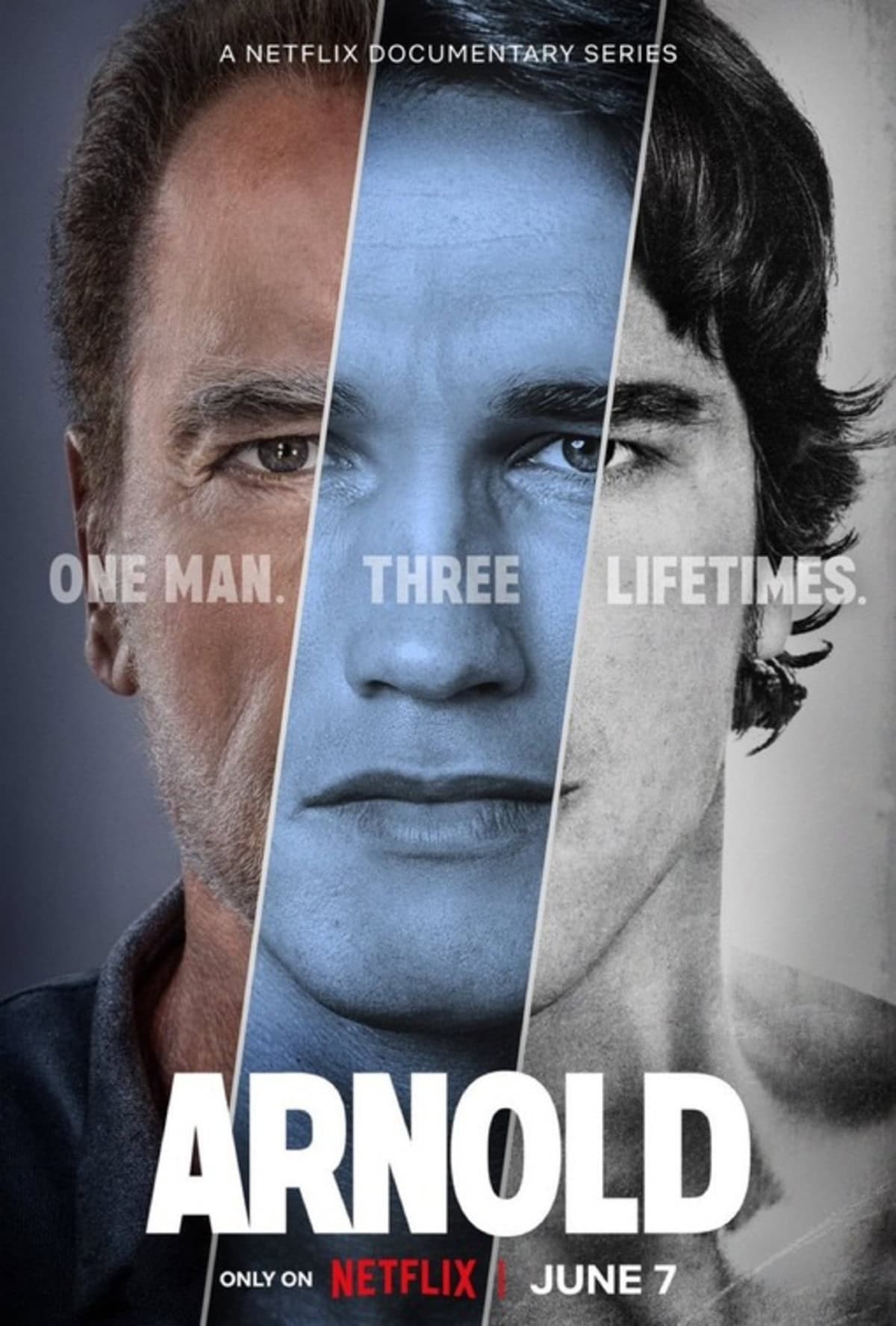 large_8005b4bbedd3a4e197b056343e94c586-arnold.jpg