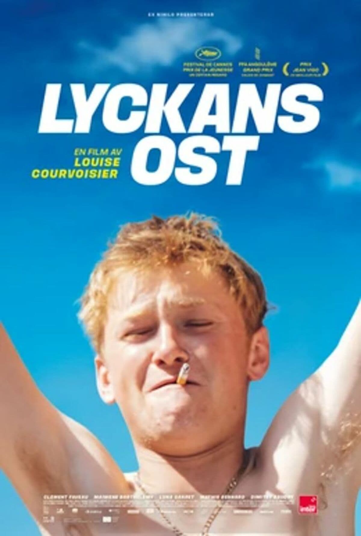 large_84a9a9896006d0b0e42cdf0bcf4c72e9-lyckans_20ost_20fix.jpg