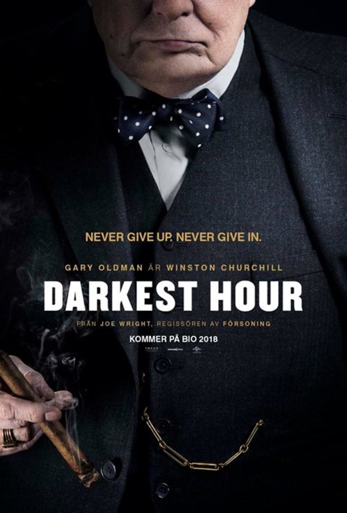 large_85159c52df2bacd2427b2cab91793f46-darkest-hour-poster.jpg