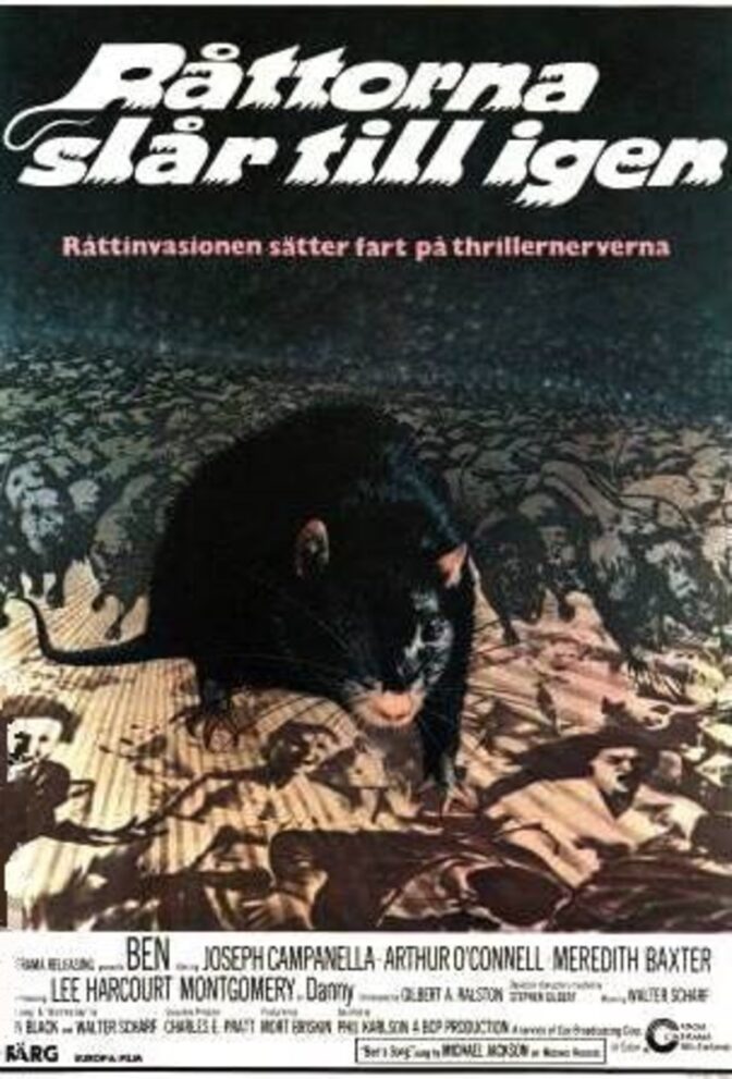 Råttorna slår till igen