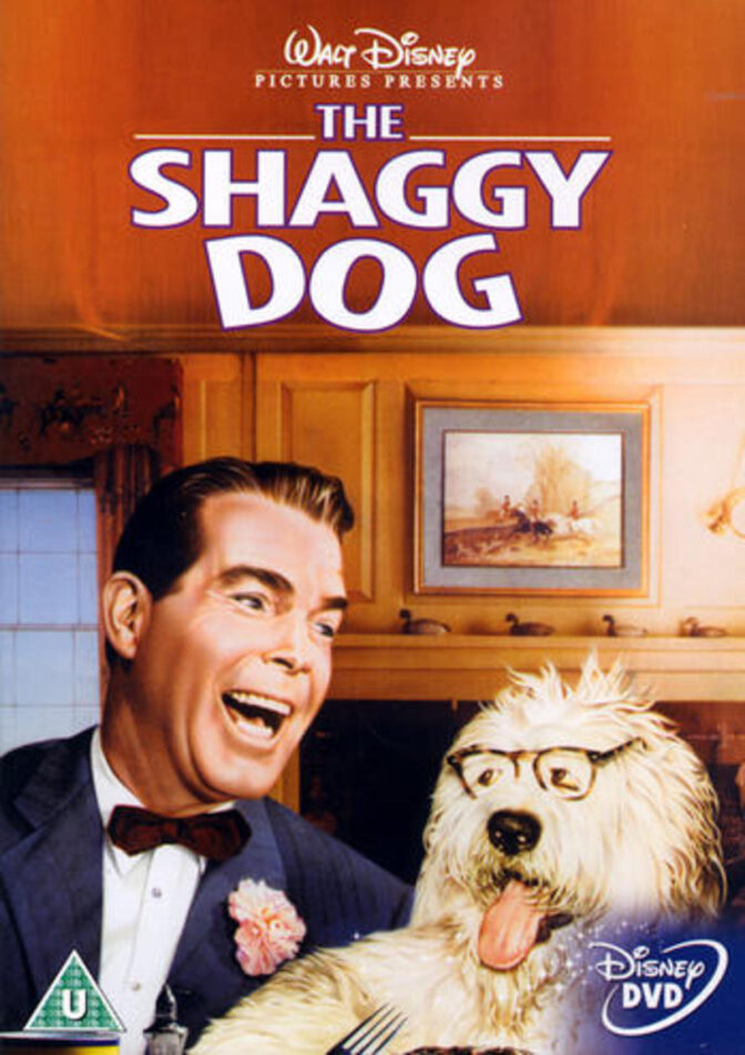 Shaggy ä’ de’ du de’?