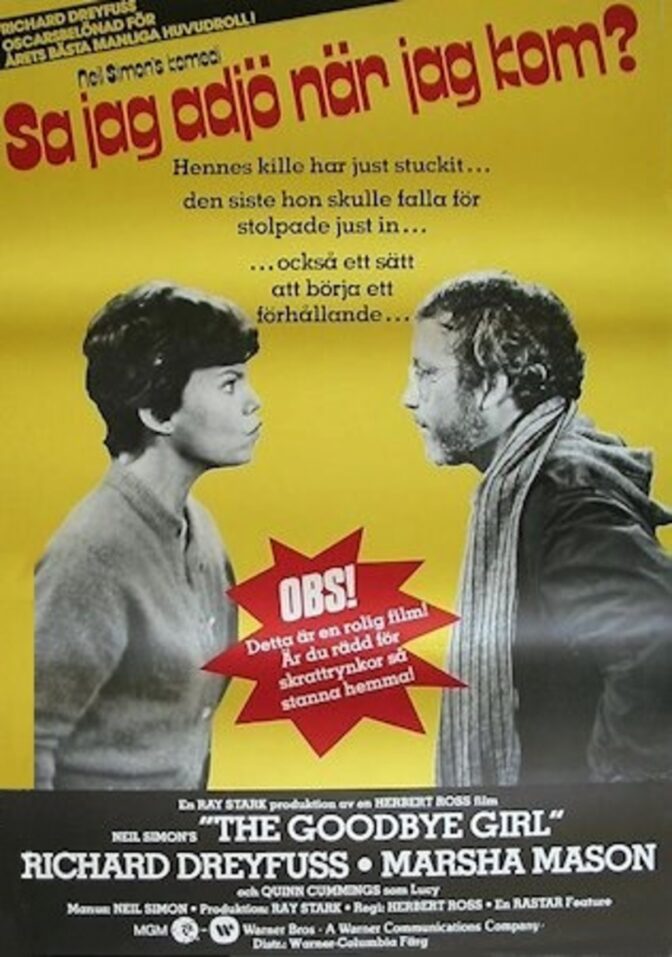 Sa jag adjö när jag kom?