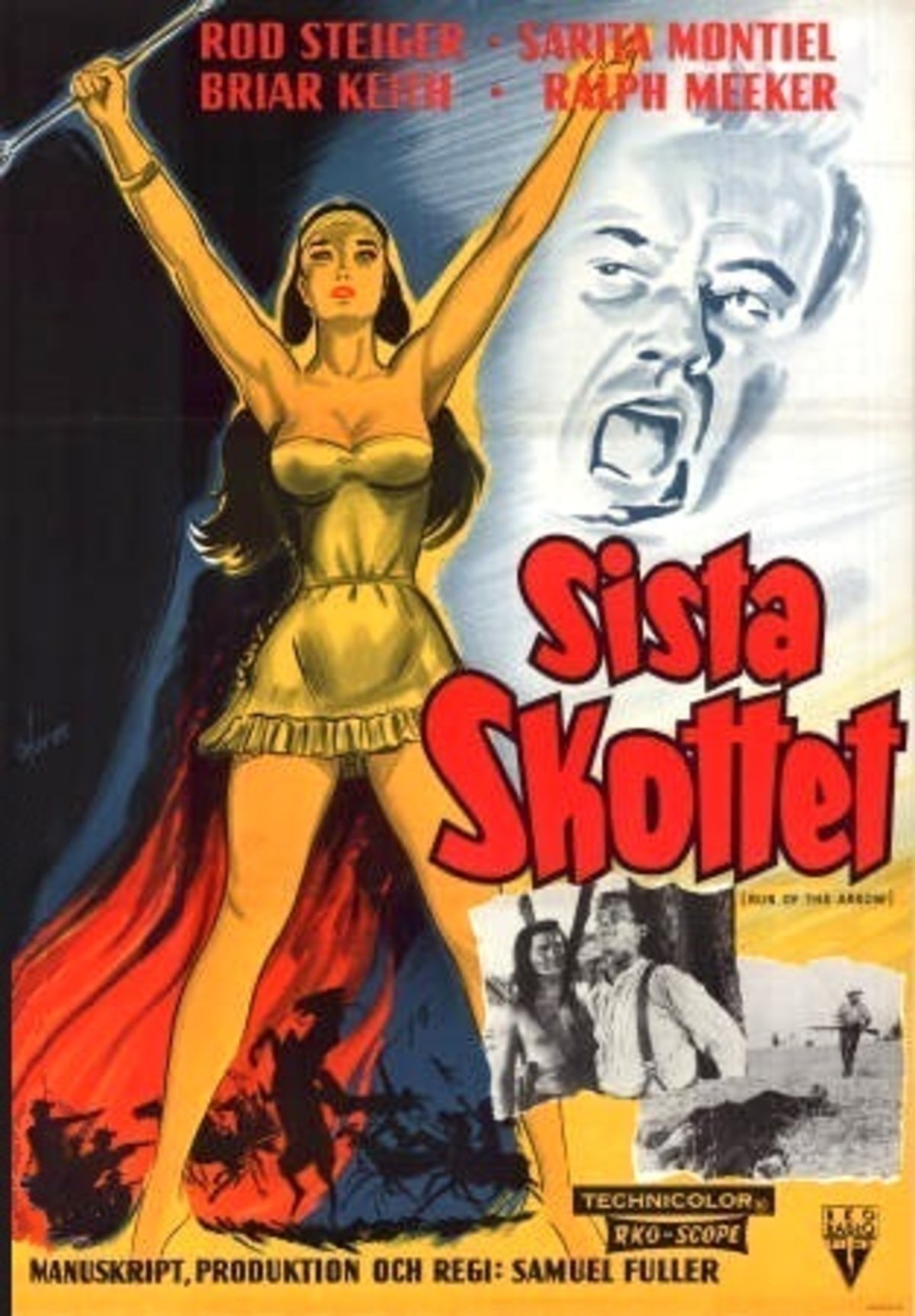 large_90872ca5be9f1256ea4e68a1da865f12-Sista_20skottet.jpg