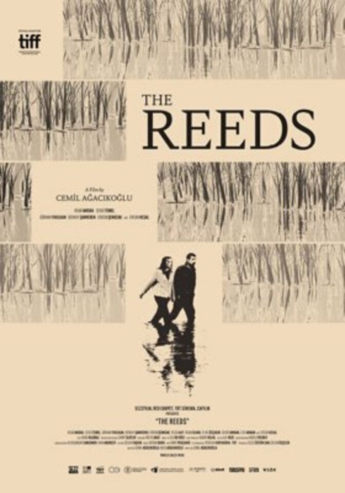 The Reeds