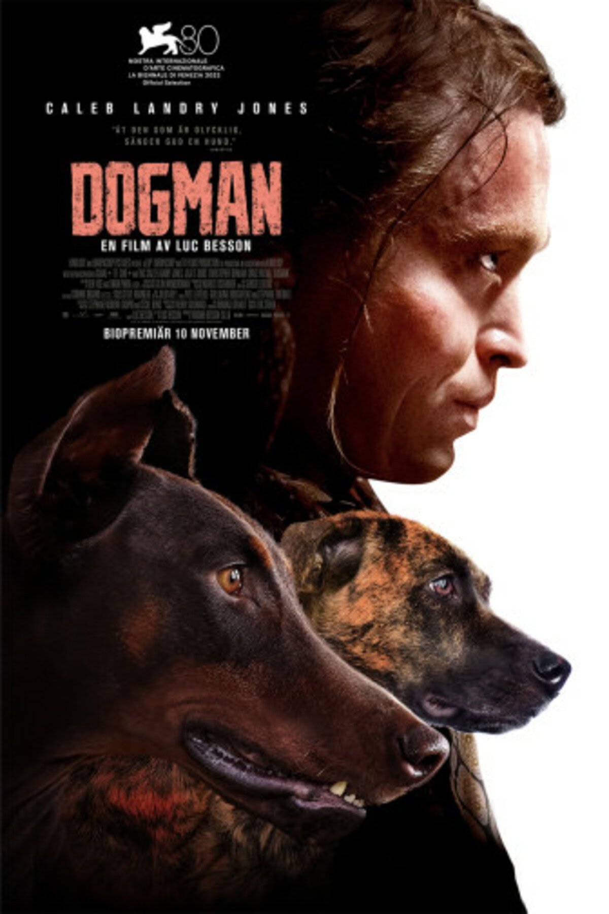 large_971a3875d78bf0ab00ffeb8b87ea4191-Dogman_web-2.jpg