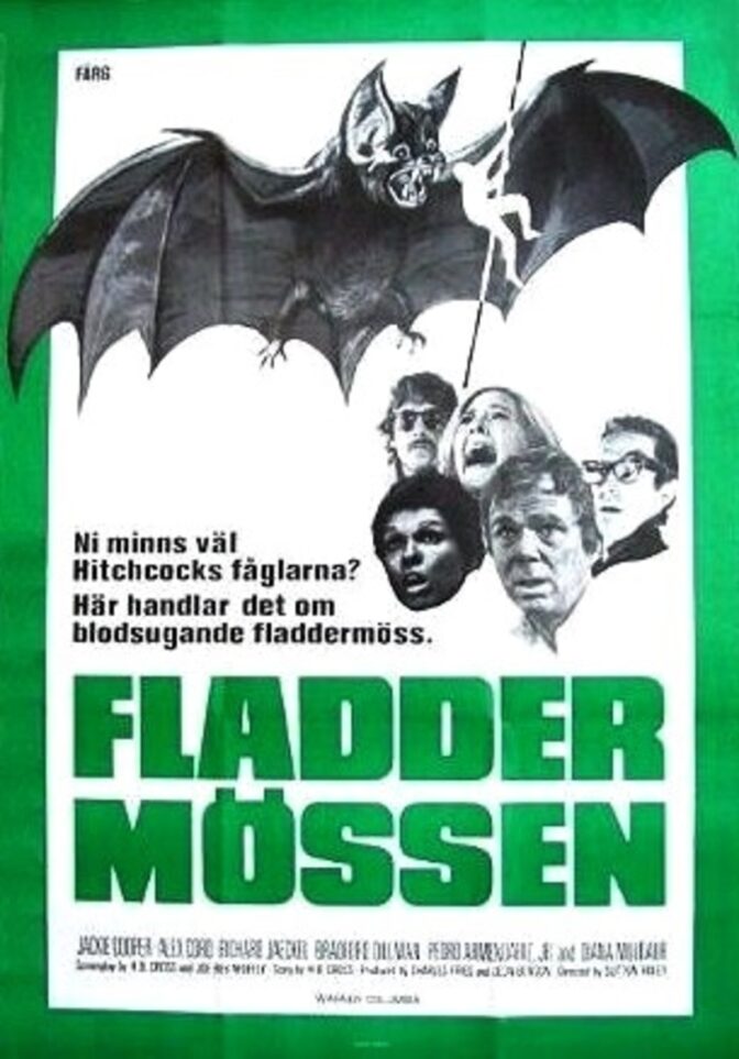 Fladdermössen