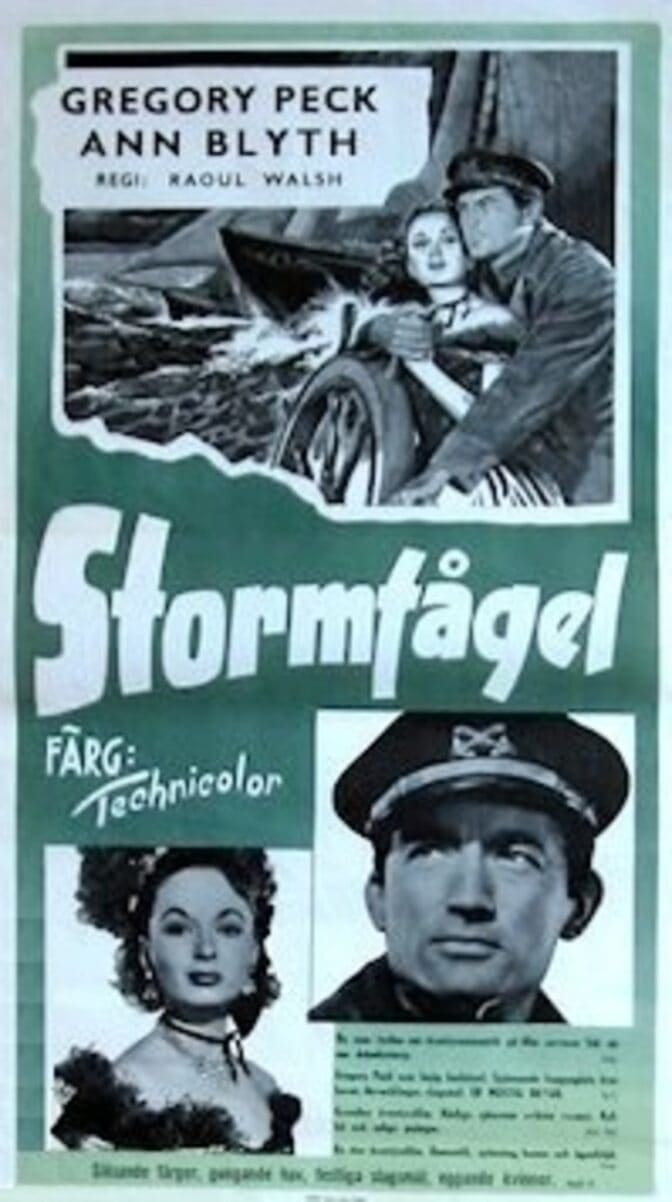 Stormfågel