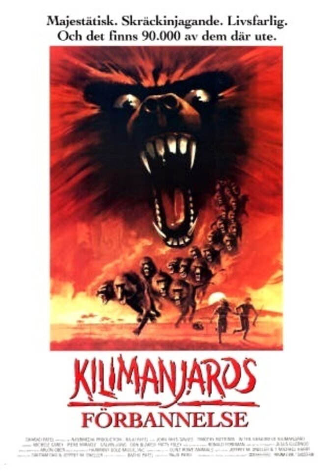 Kilimanjaros förbannelse