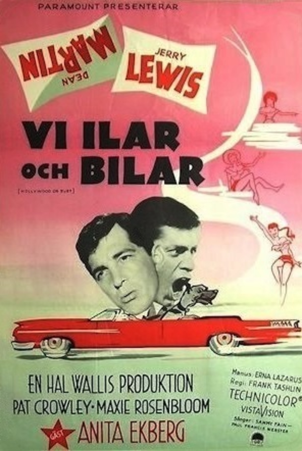 large_a8598e41fc44e91c6ec867cb6dff7041-Vi_20ilar_20och_20bilar.jpg