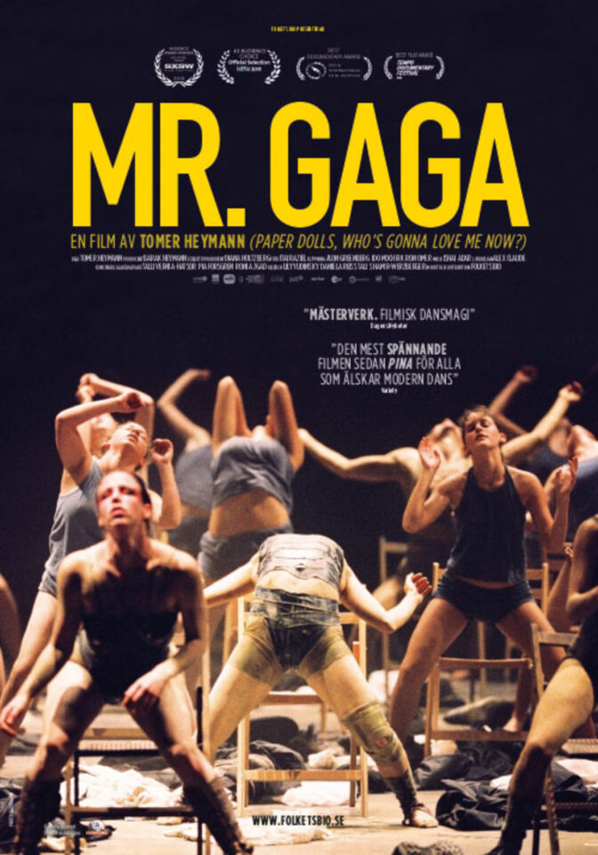 Mr. Gaga
