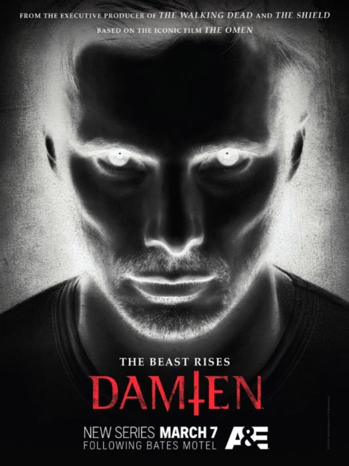 large_aec8146e11cbc0958fa1984dcab51ced-Damien.jpg