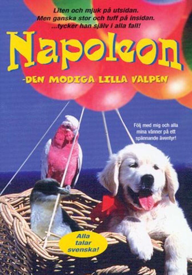 Napoleon – Den lilla modiga valpen