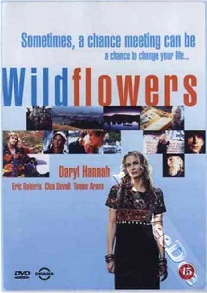 Wildflowers