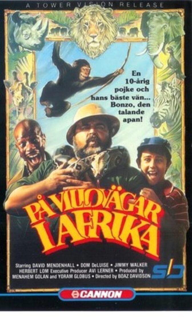 På villovägar i Afrika