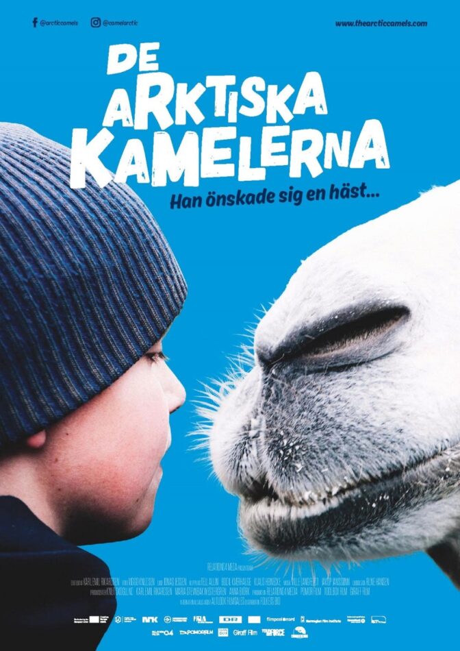 De arktiska kamelerna