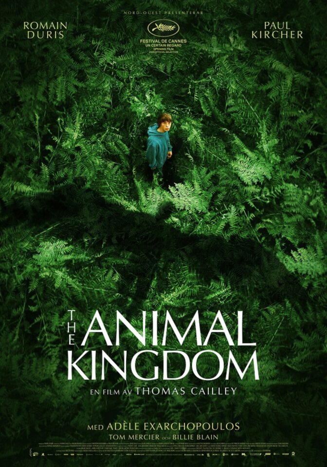 The Animal Kingdom
