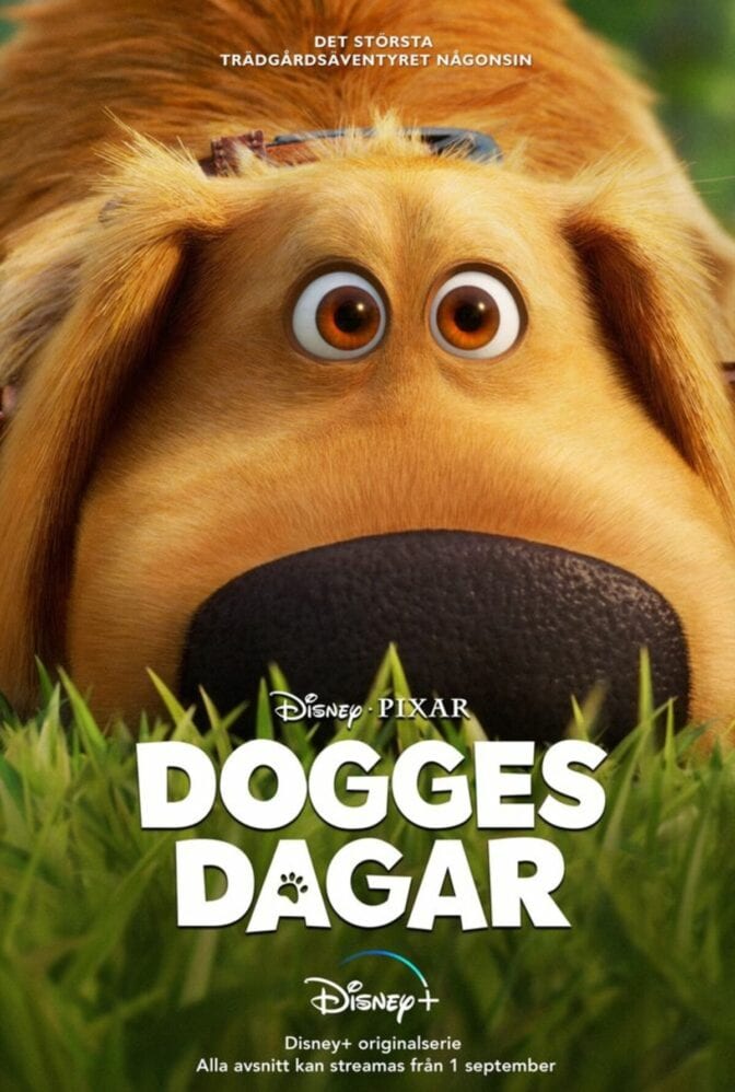 Dogges dagar