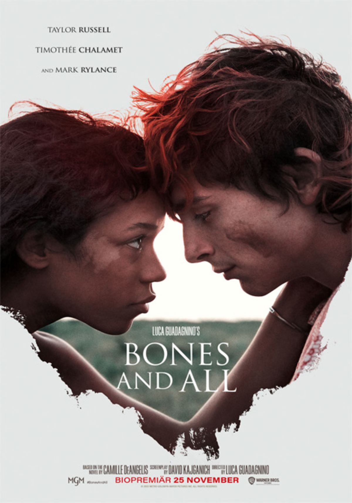 large_c6cd895b8f861e76e316c837b8877627-bones-and-all.jpg