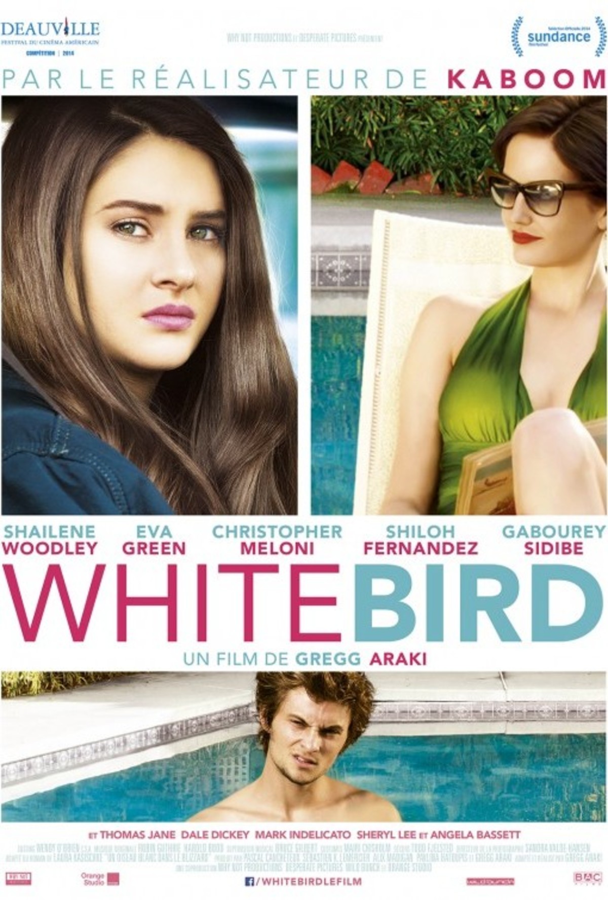 large_caf45e026d51ba8d4f1cea03fa0b4c65-white_bird_in_a_blizzard_ver2.jpg