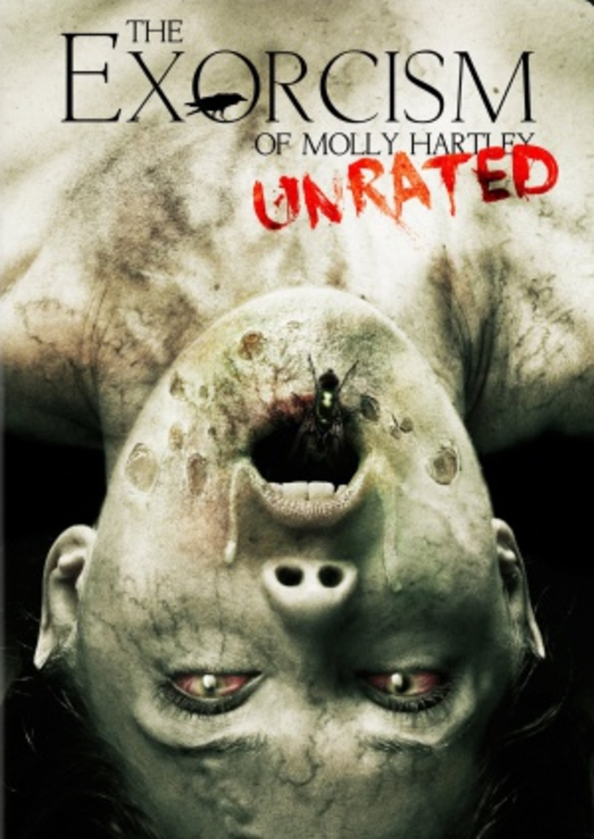 large_cc6c4f60dbef4b565d3ccf7236ab68f2-The_20Exorcism_20of_20Molly_20Hartley.jpg