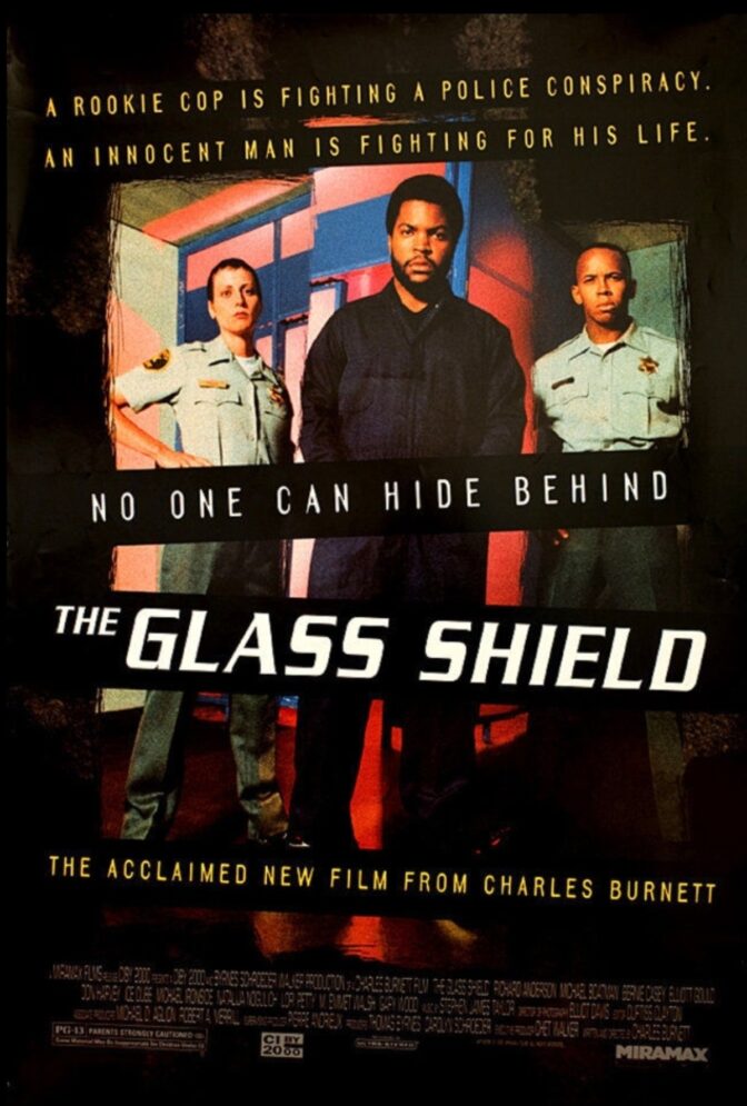 Polisbrickan ger inget skydd