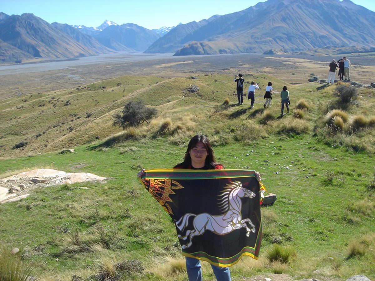 Large d0eb089796c05b4758968748984873ac midgard1