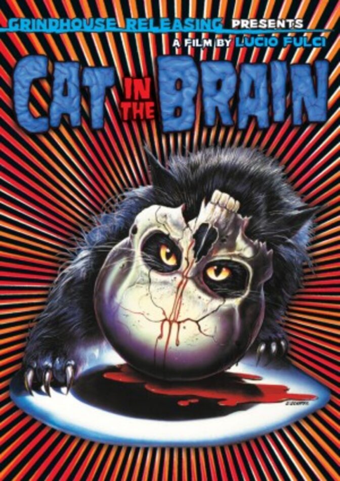 A Cat in the Brain