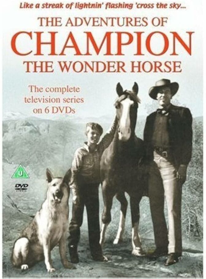 Champion – den vilda hästen