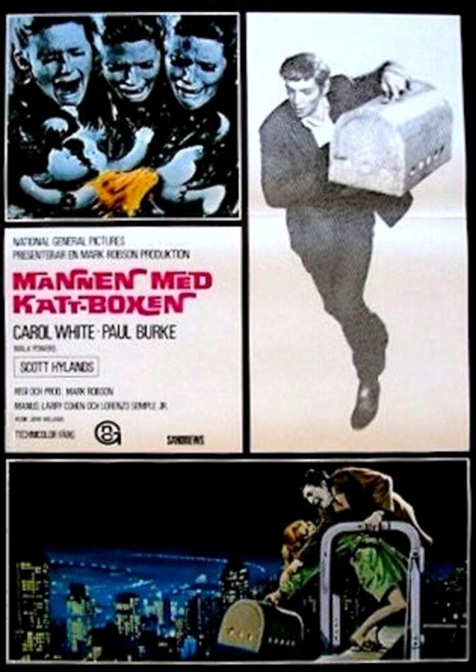 Mannen med katt-boxen