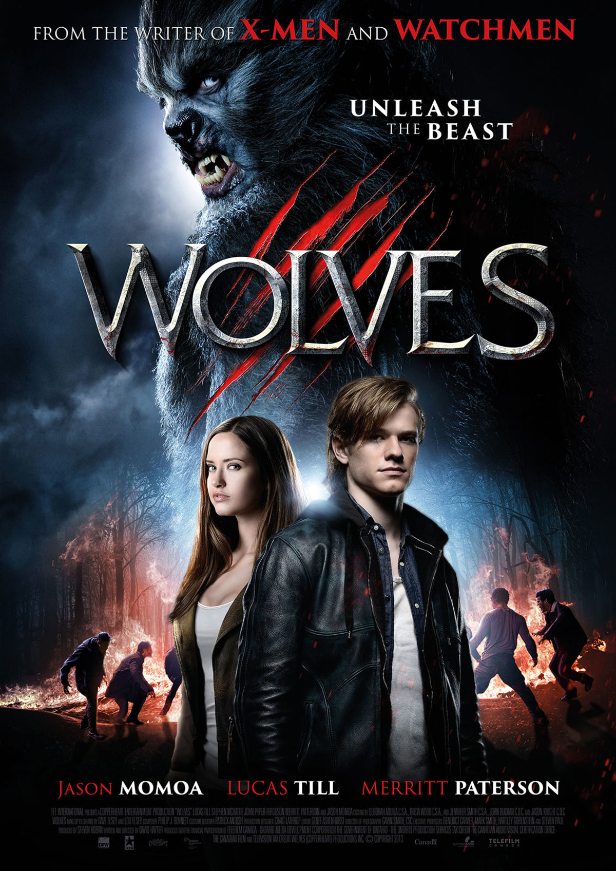large_da45080bc0d238a28923774acfd1935f-wolves.jpg