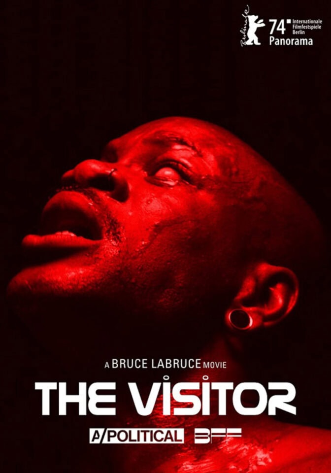 The Visitor