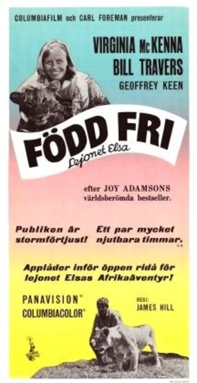 Född fri – Lejonet Elsa