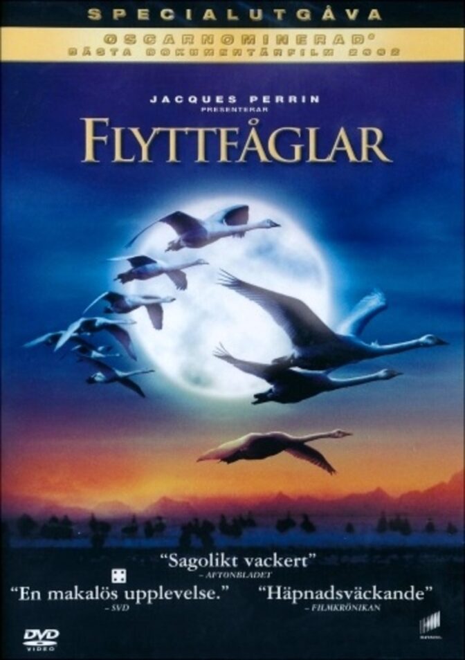 Flyttfåglar