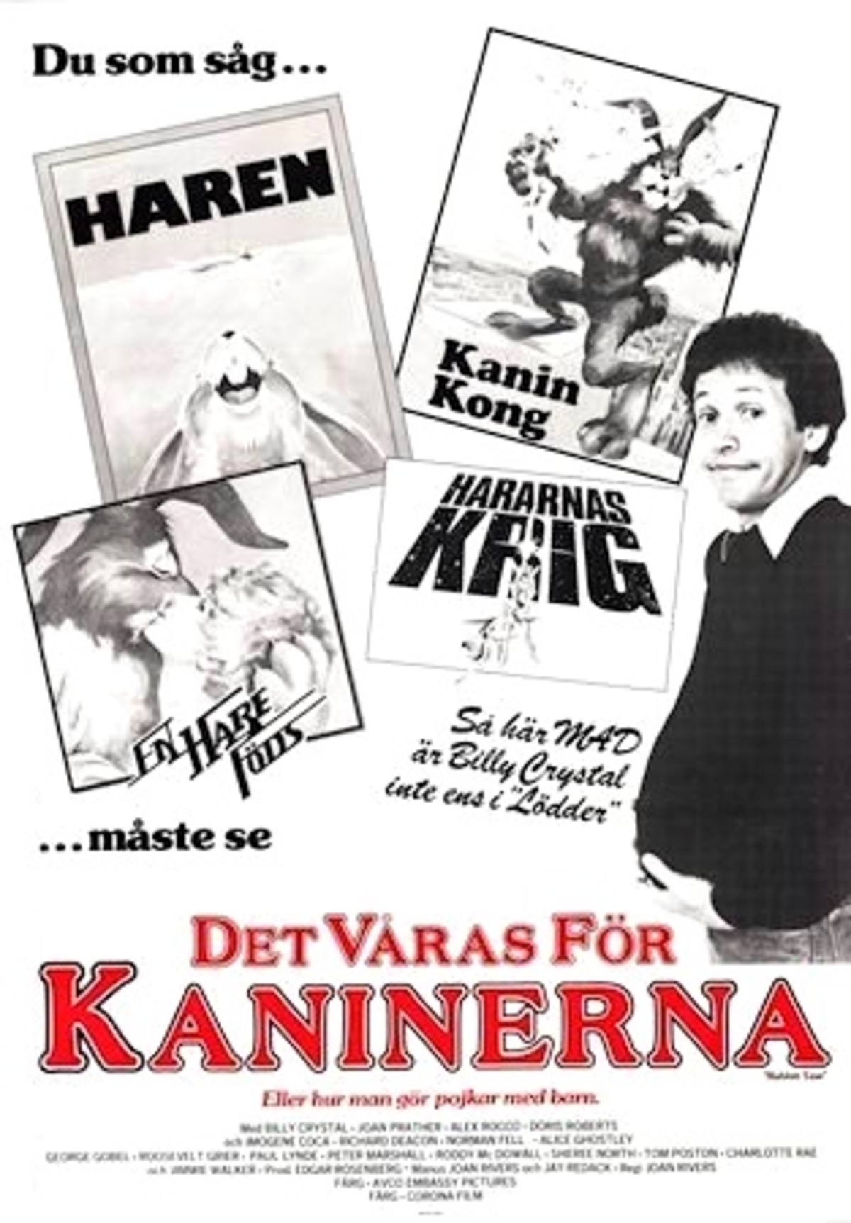 large_eb21a63e944f46344c396fc846bd5f66-Det_20v_C3_A5ras_20f_C3_B6r_20kaninerna.jpg