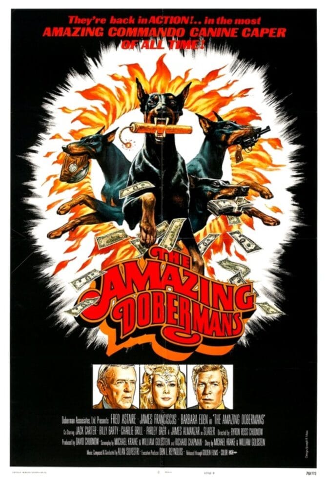 De fantastiska Dobermans