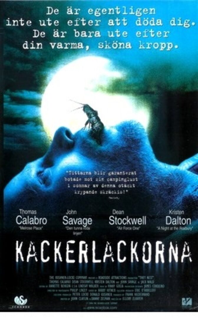 Kackerlackorna