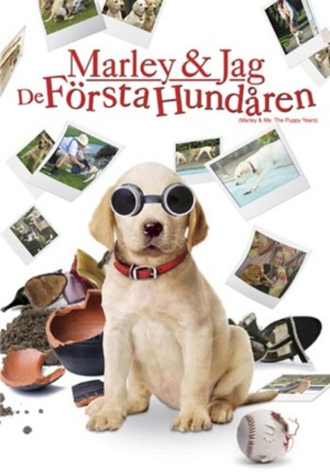 Marley & jag – De första hundåren