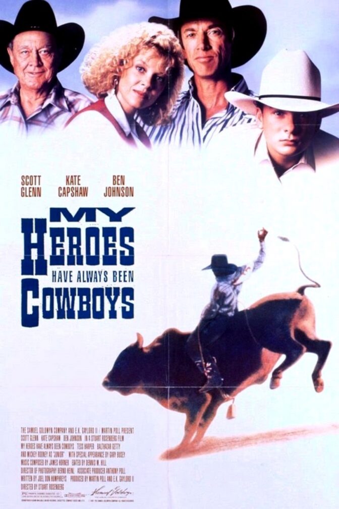 My Heroes Have Always Been Cowboys