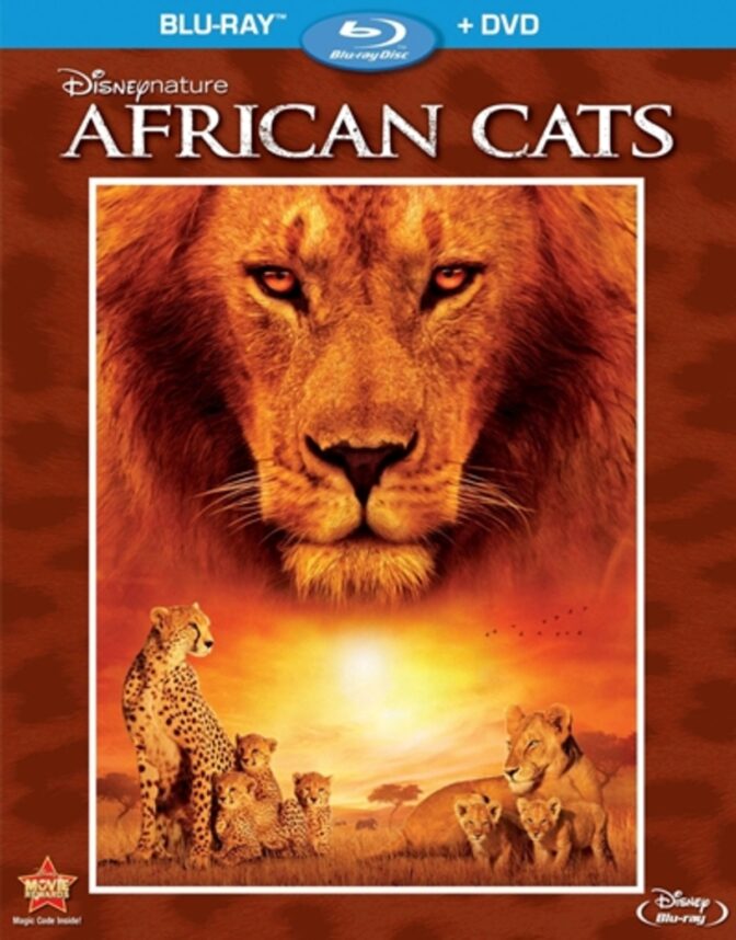 African Cats