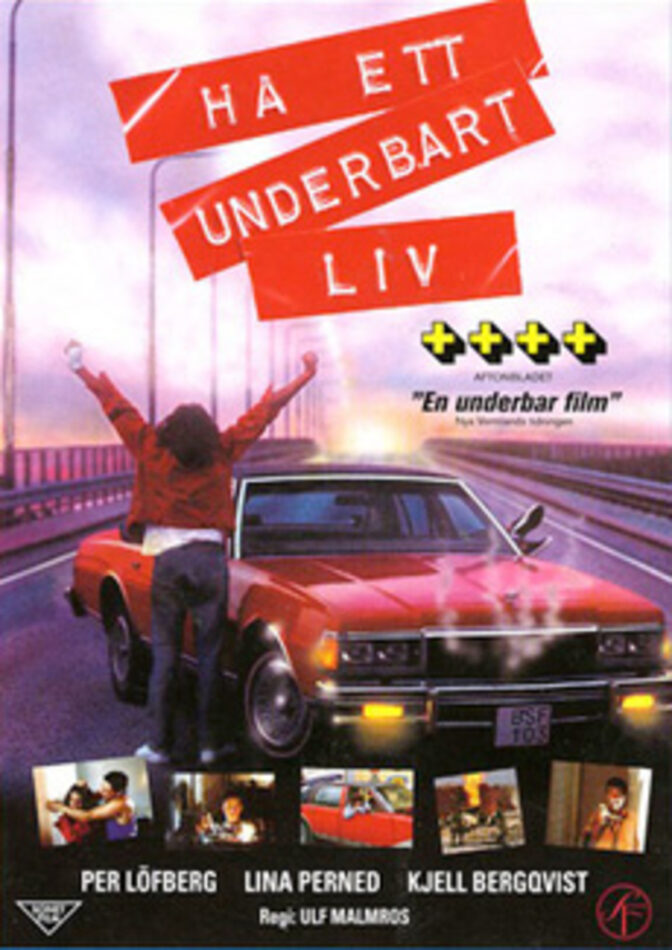 Ha ett underbart liv