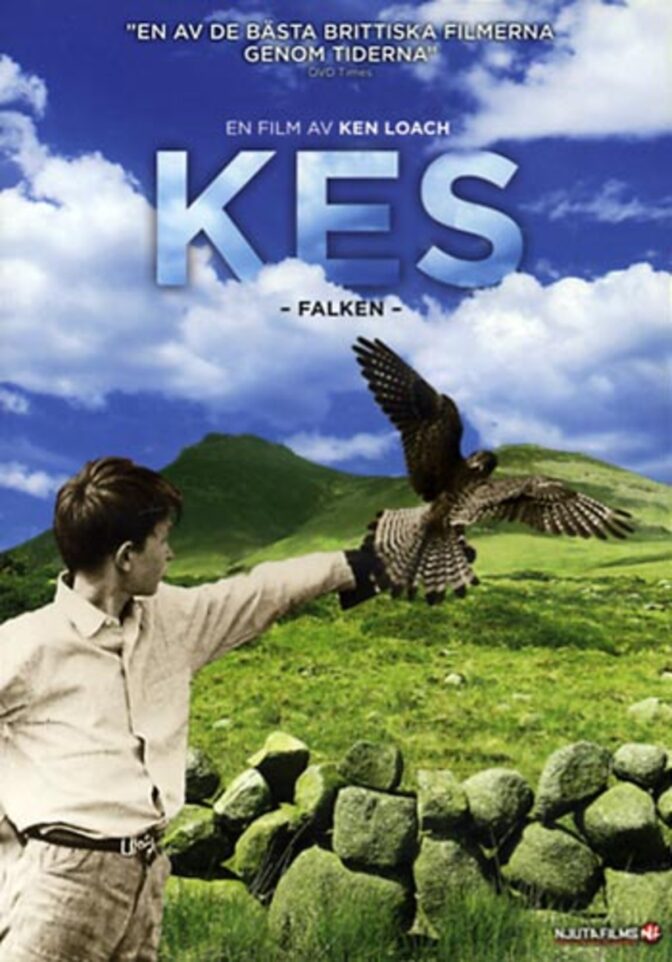 Kes – falken