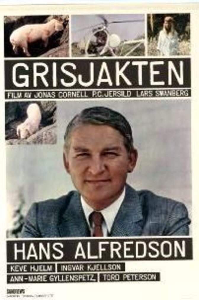 Grisjakten